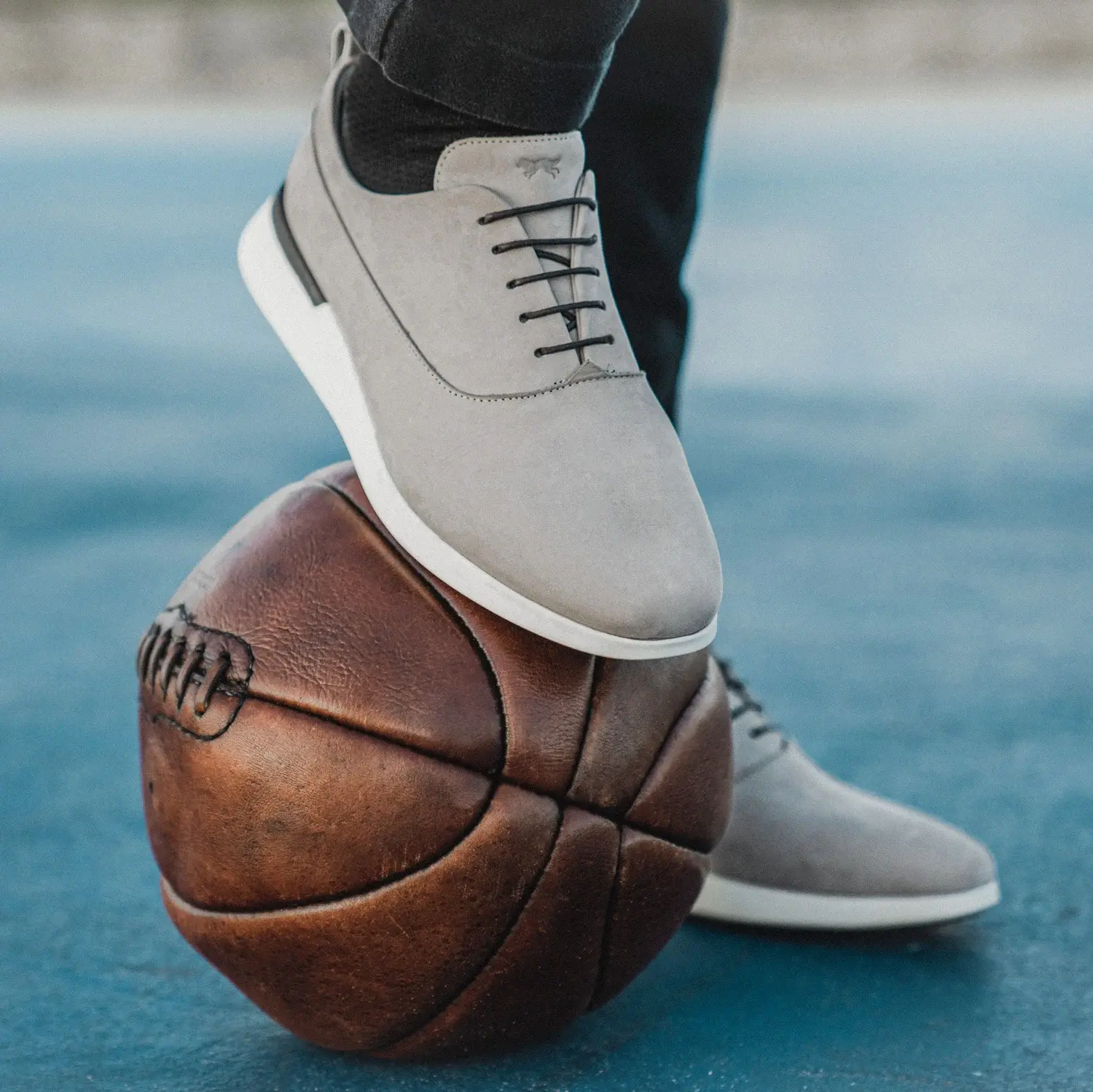 Wolf & Shepherd Shopify development
